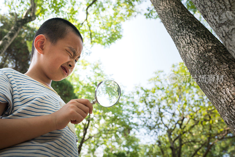 亚洲男孩拿着放大镜在大自然中寻找