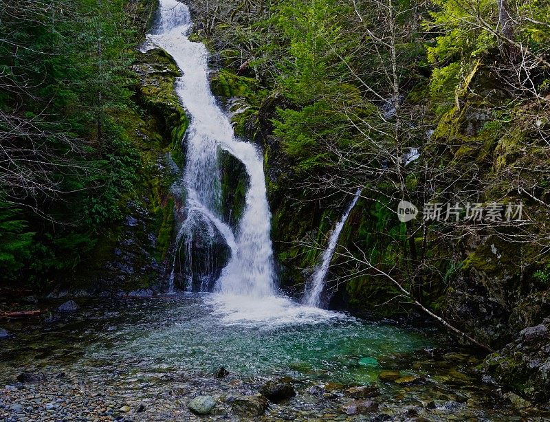 俄勒冈州野生水