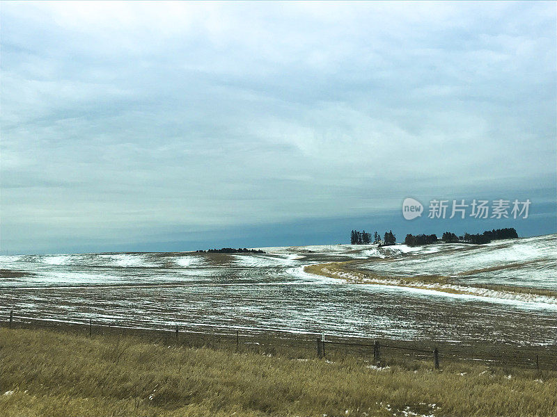 霜冻的春田和小雪