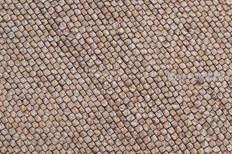 拉菲亚树地毯图案