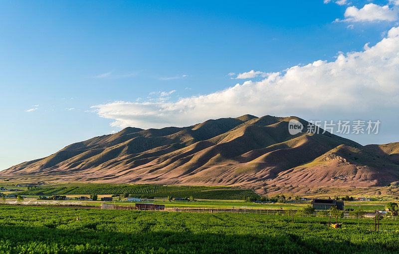 犹他州景观山