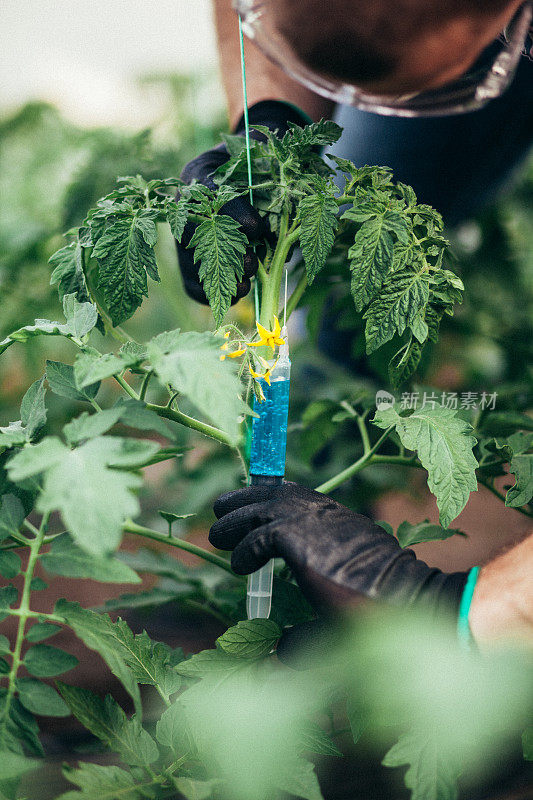 植物实验