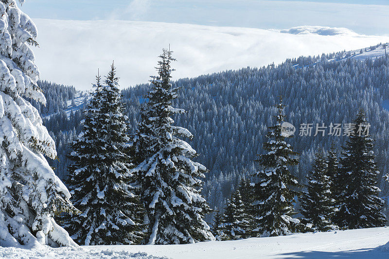 冬天的风景