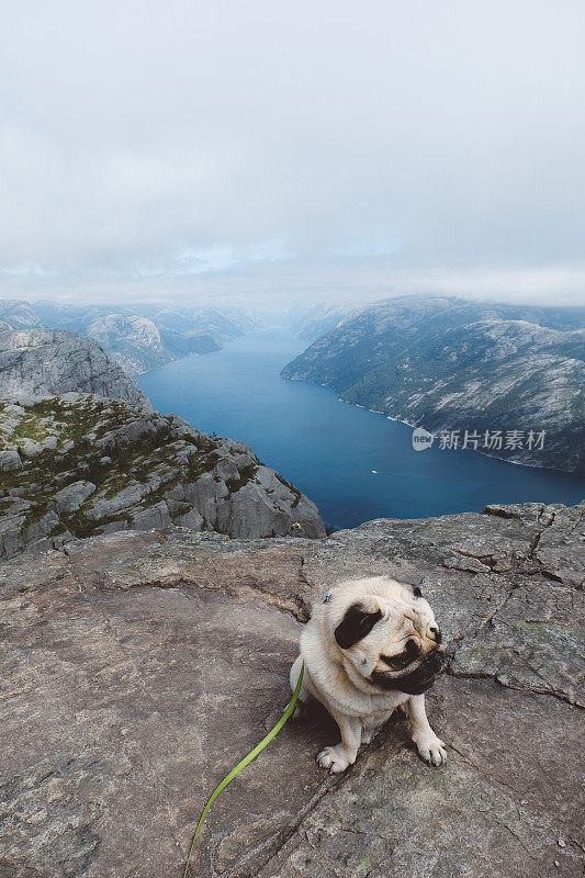 帕格徒步旅行到挪威吕瑟峡湾的布道石山