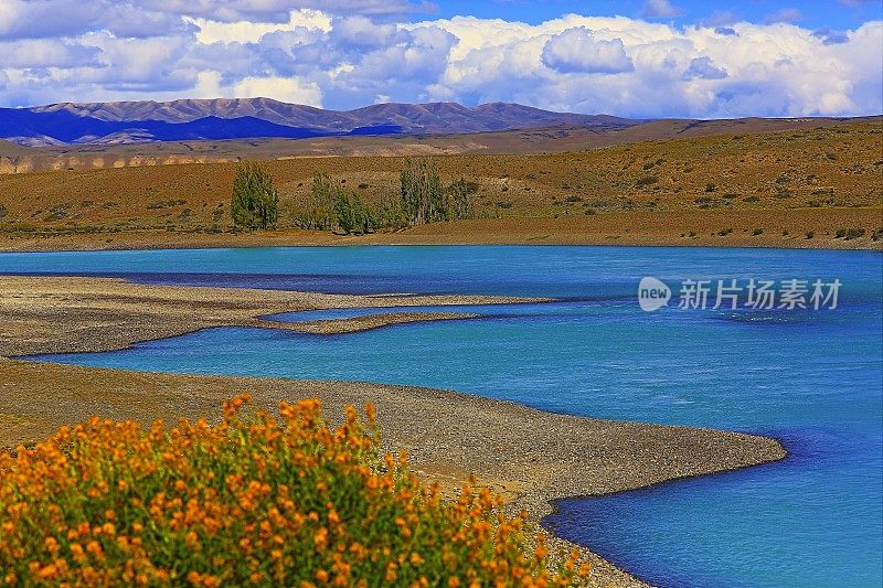野花和阿根廷湖–埃尔卡拉法特，巴塔哥尼亚阿根廷