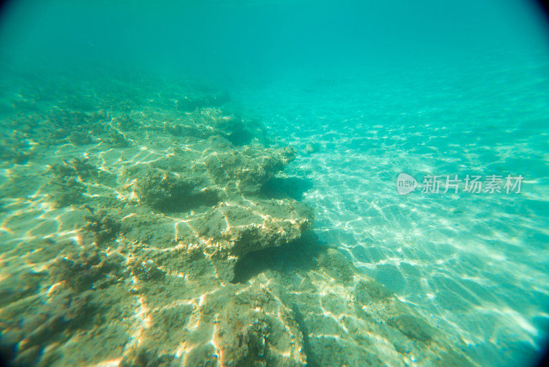 水下海洋风景