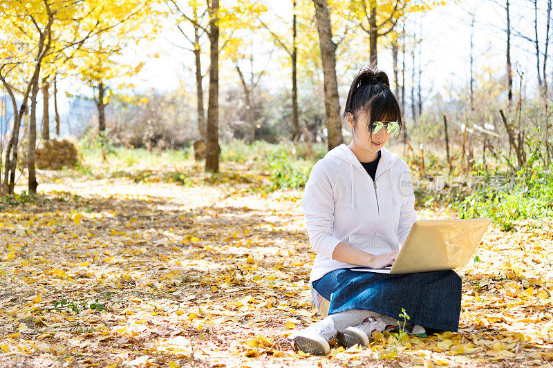 一个女人在黄色的银杏树下使用笔记本电脑