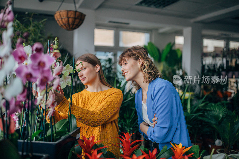 花店里的两位年轻女士