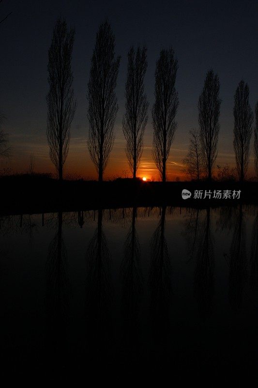 夕阳西下，树木倒映在湖面上
