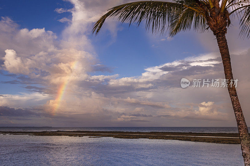 在巴西东北部的巴伊亚，日落时分，有彩虹的海滩