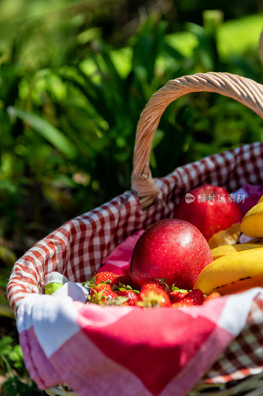 带新鲜水果的野餐篮