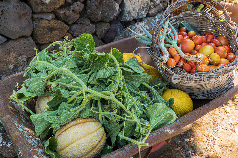 手推车里装着新鲜的蔬菜和水果