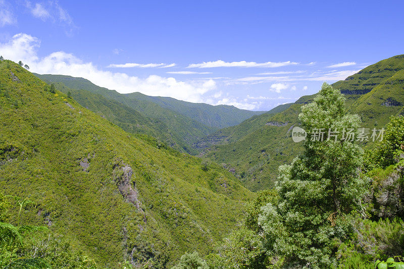 在美丽的夏日，在Rabaçal附近的山和马德拉岛的勒瓦达步道。