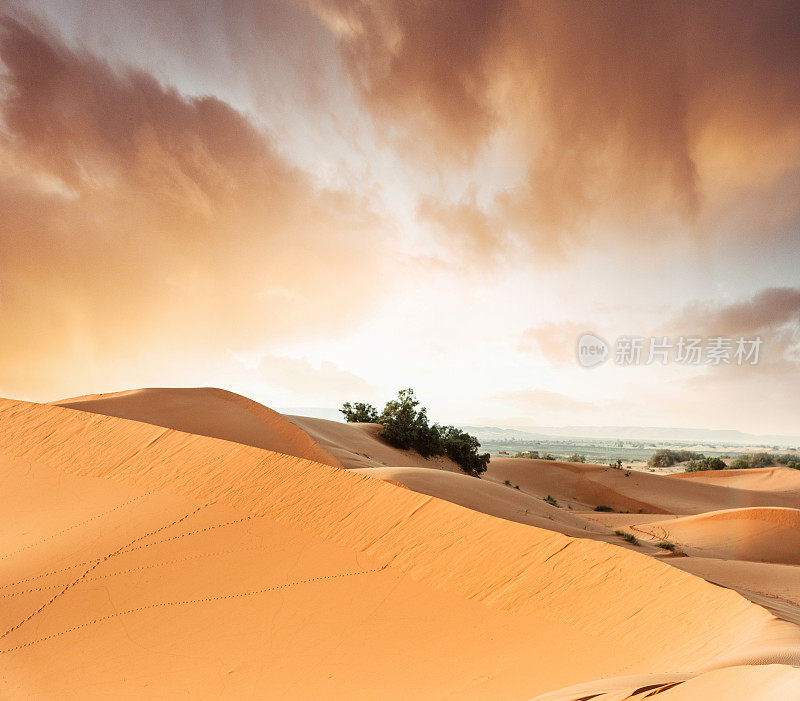 Merzouga的沙丘