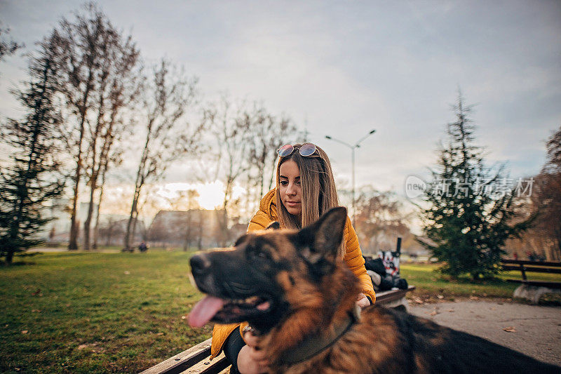 公园里有个年轻女人和一只德国牧羊犬