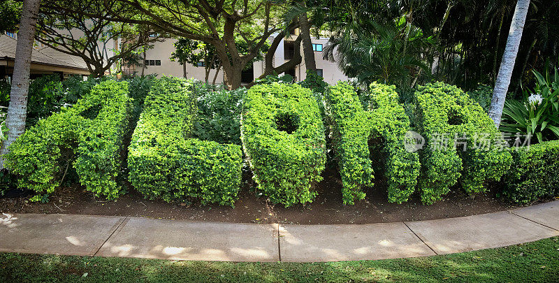 夏威夷考艾岛的阿罗哈修剪园