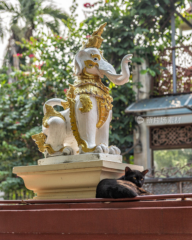大象和猫的雕像