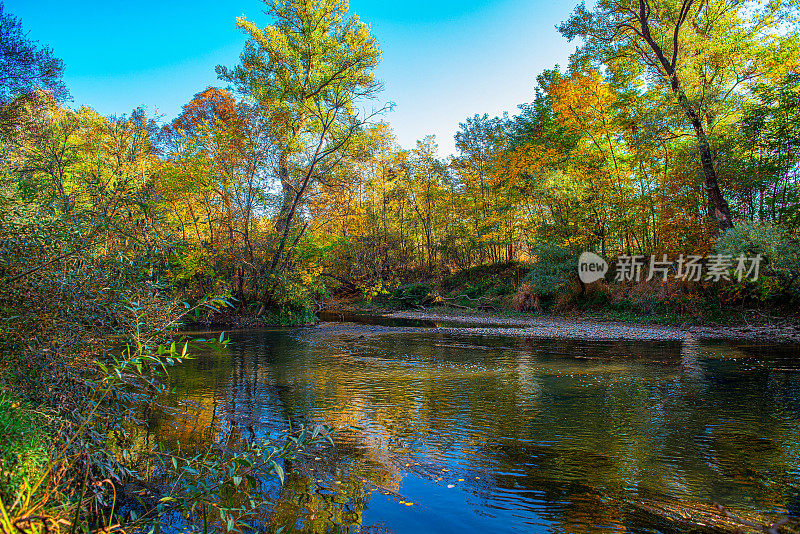 这是一幅被森林包围的河岸边的秋天风景图