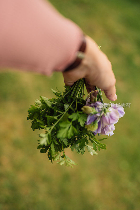 手持鲜花、豌豆和欧芹的妇女