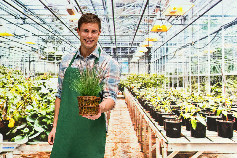 白人男性植物学家园艺穿着围裙和拿着花