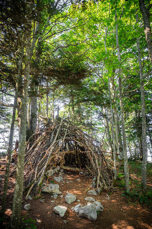 在一个阳光明媚的夏日，在法国森林里用树枝和木头自制的小屋