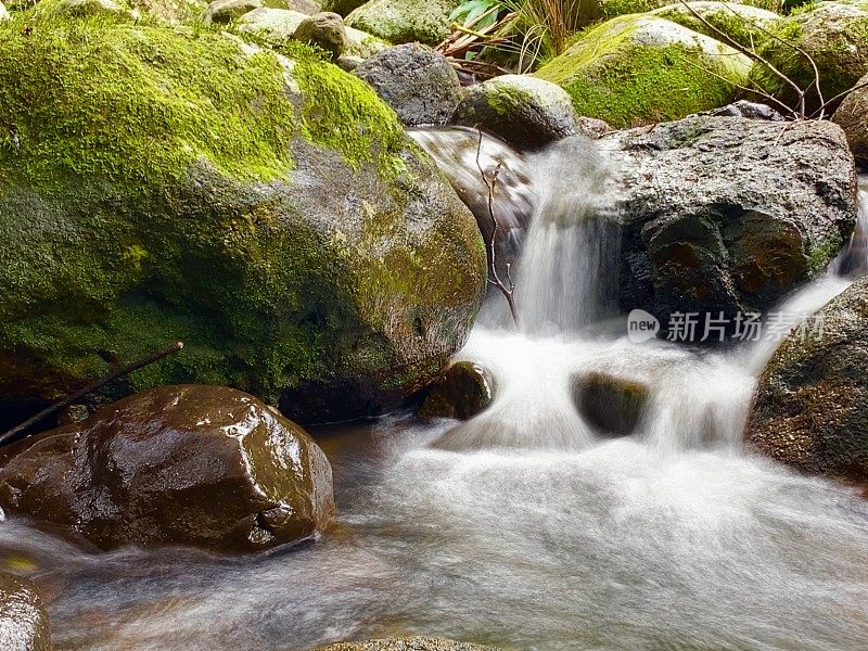 雨林溪流和巨石