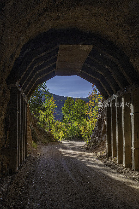 隧道穿山而过，为一条宁静的土路，路旁种着五颜六色的树木