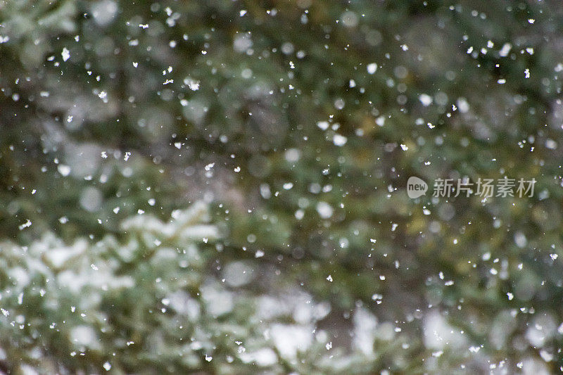 雪落的背景