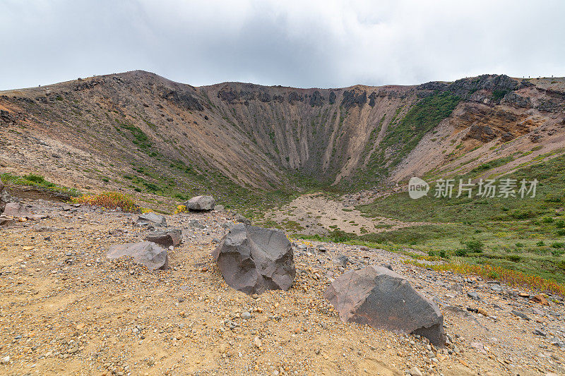 火山景观上的树木顶着天空