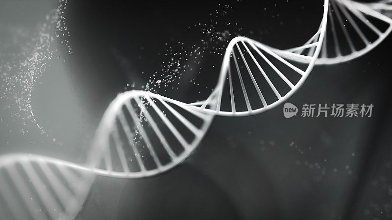 人类DNA的3d渲染图像。黑白图像。