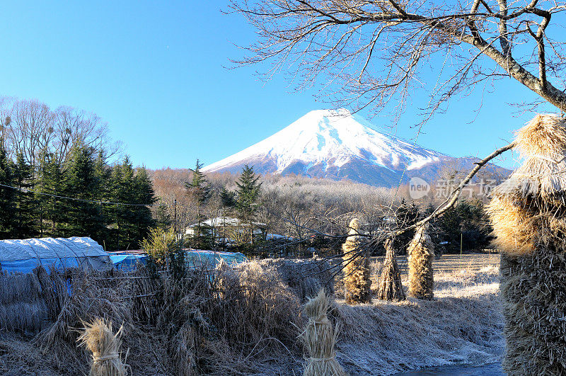 从山梨县的大野村看富士山的冬天