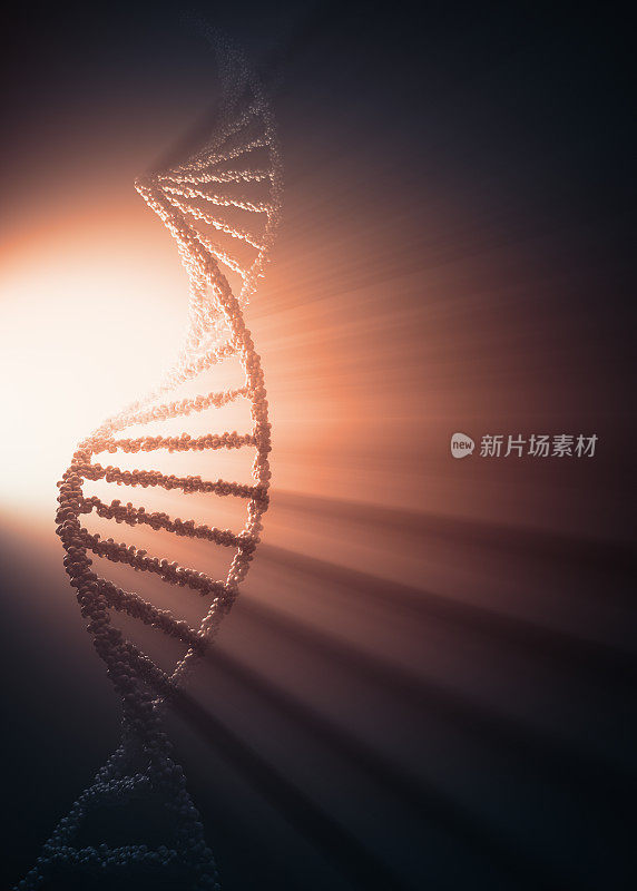 遗传密码DNA分子概念