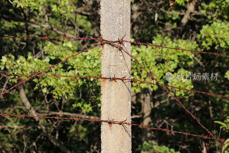 锈迹斑斑的铁丝网，用坚固的混凝土杆加固，防止未经授权进入当地森林的建筑工地