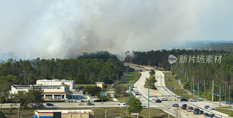 从上空俯瞰佛罗里达州北港市严重燃烧的大火。森林里炽热的火焰和有毒的烟雾污染了大气