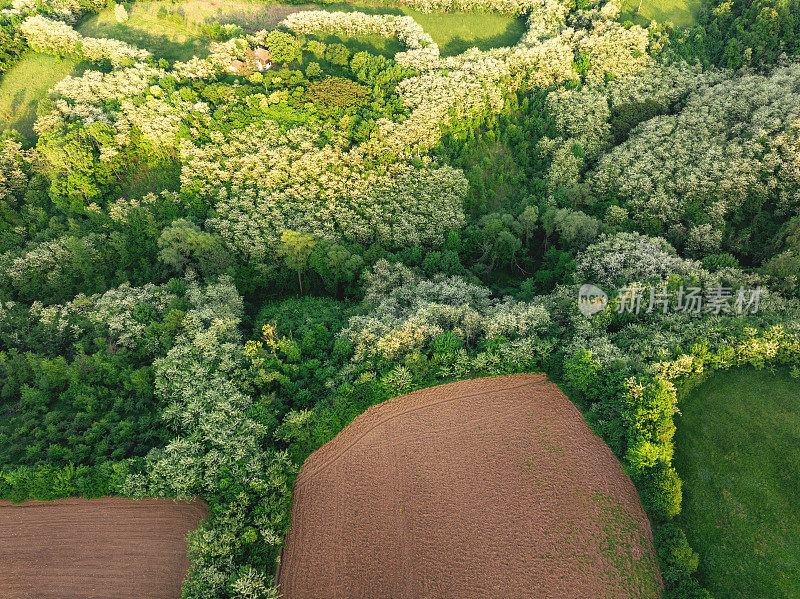 全景式的山在春天被森林和草地覆盖