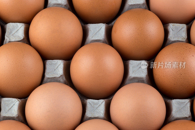 硬纸板蛋盘里的新鲜鸡蛋