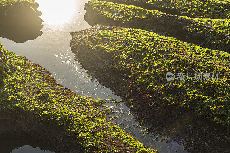 阳光，水和苔藓岩石