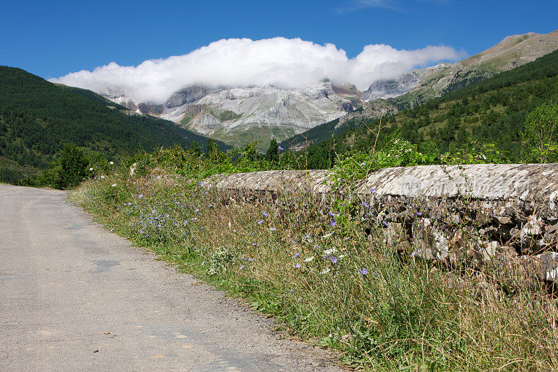 比利牛斯山的乡村公路