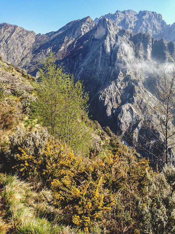 山脉景观