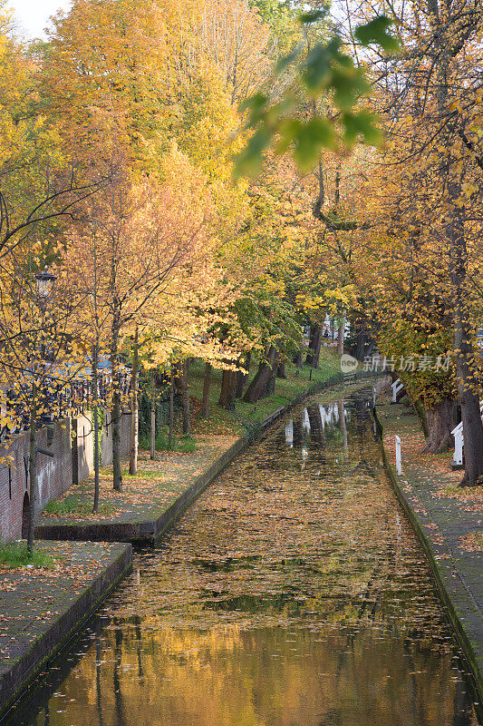 荷兰乌得勒支市中心绿树成荫的运河