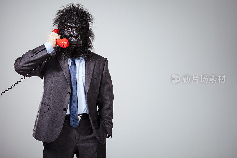 大猩猩人-商业服装幽默老板