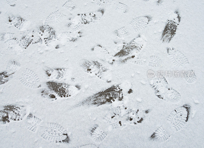 雪地上的一组脚印