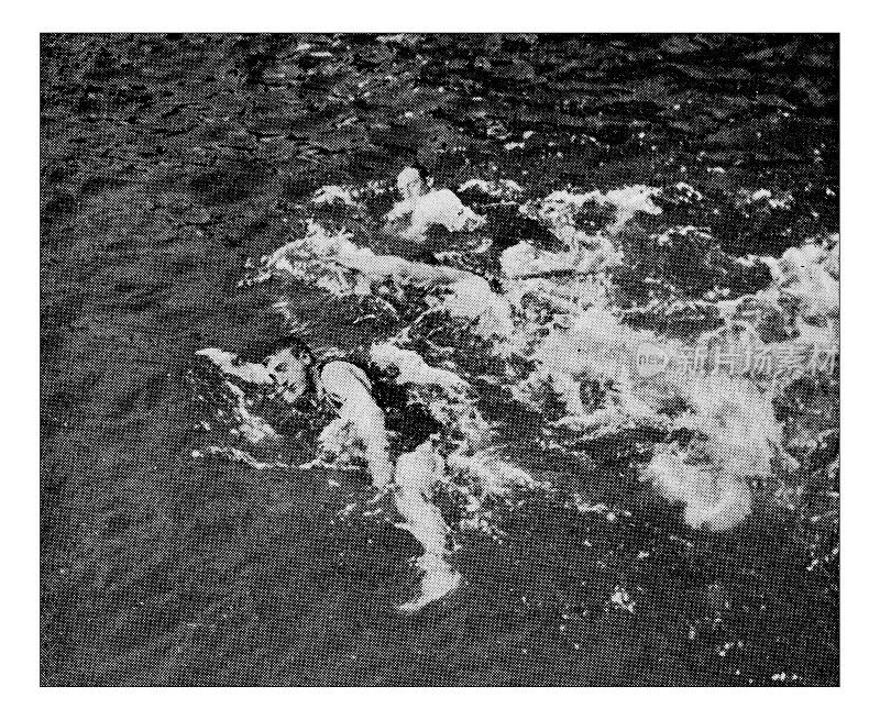 爱好和运动:游泳的古董点印照片