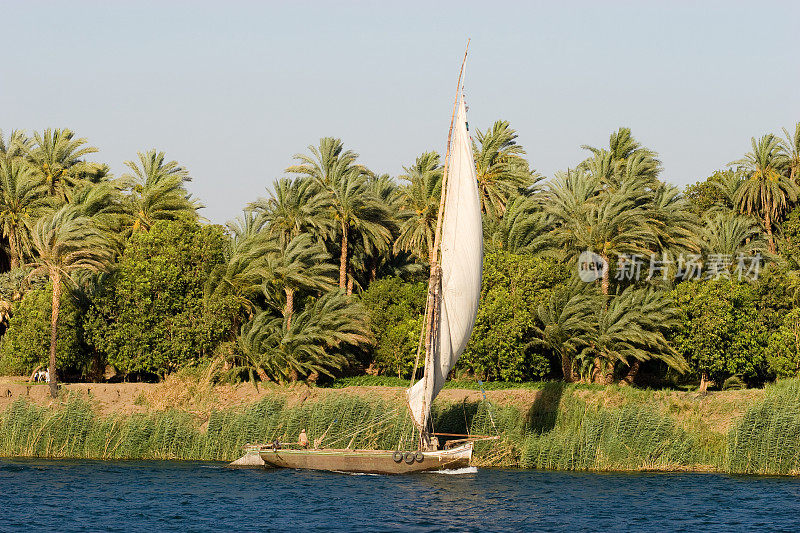 尼罗河上的小帆船