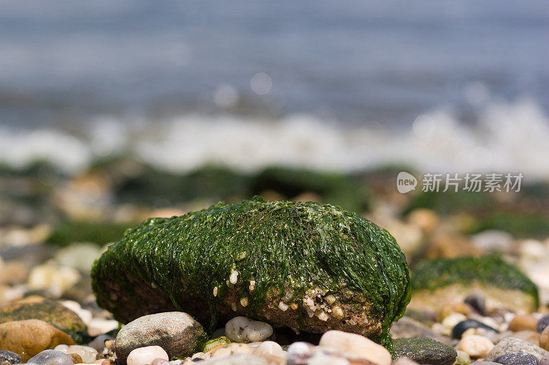 海岸上的岩石