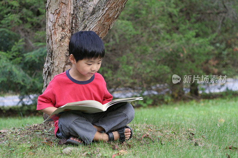 一个亚洲小男孩在夏天的树下看书