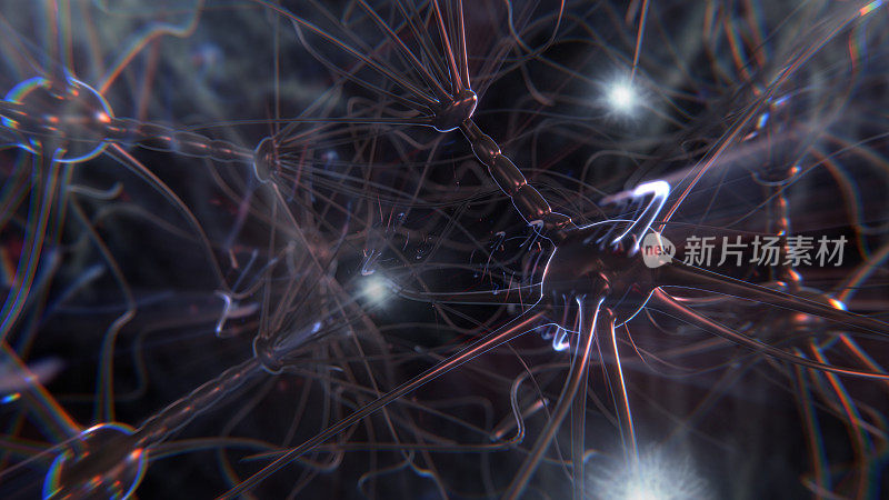 神经元细胞网络