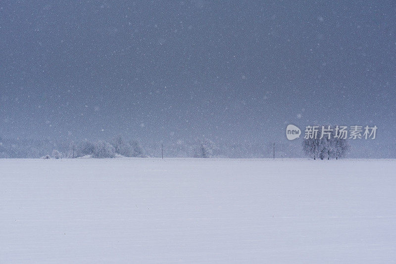 景观与降雪