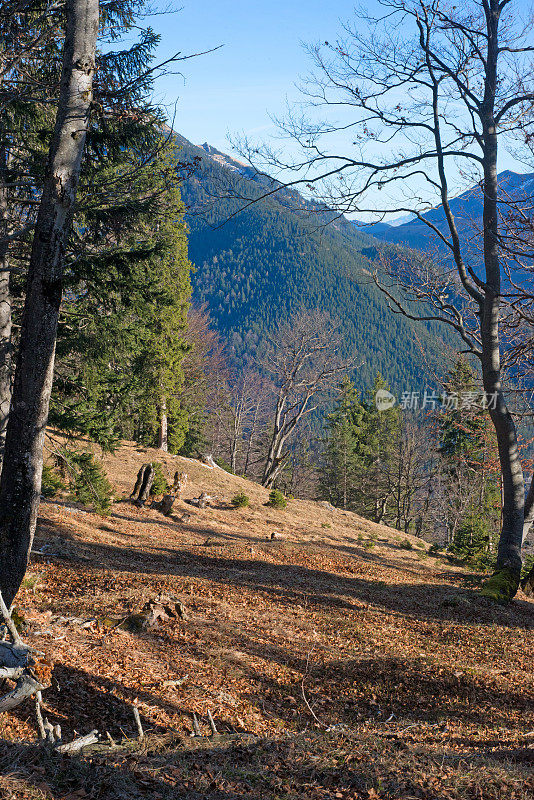 从Risserkogl看到的巴伐利亚欧洲阿尔卑斯山全景