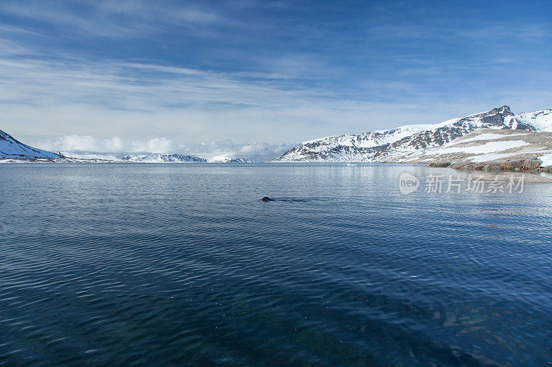 斯匹次卑尔根群岛北极的冰和海